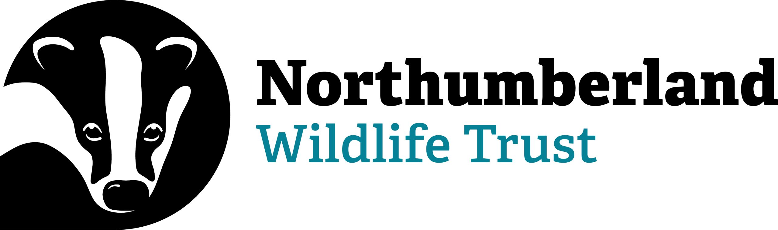 NWT primary logo (1) Byker Boy Scouts